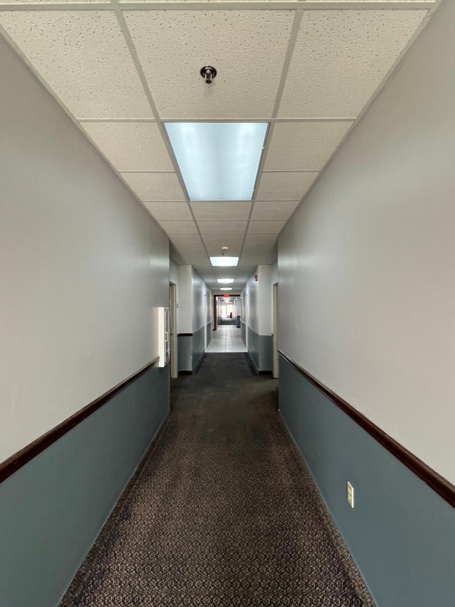 Springfield Inn מראה חיצוני תמונה